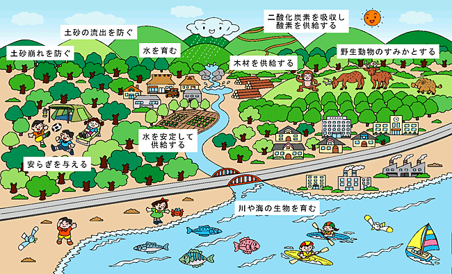 資料 森林の役割 一般社団法人 兵庫県治山林道協会